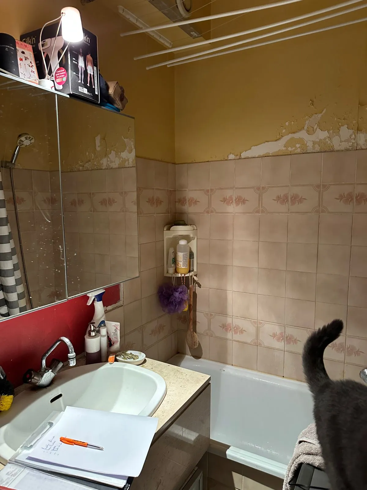 WhatsApp Image 2024-03-29 at 13.15.44